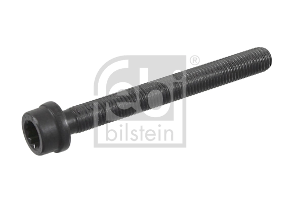 Klapikaanekruvi FEBI BILSTEIN 22030