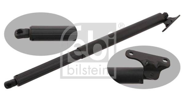 Gaasivedru, pagasi-/veoruum FEBI BILSTEIN 29339