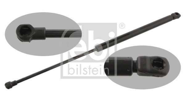 Gaasivedru, pagasi-/veoruum FEBI BILSTEIN 25208