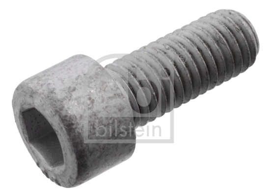 Teljekruvi, veovõll FEBI BILSTEIN 101234