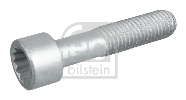 Kruvi, ajamivõlli äärik FEBI BILSTEIN 09455