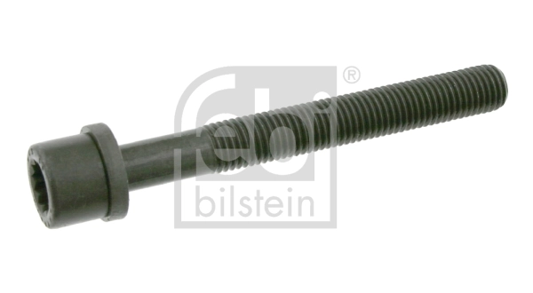 Klapikaanekruvi FEBI BILSTEIN 06666