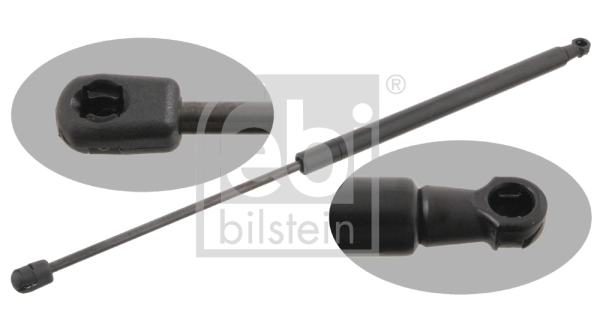 Gaasivedru, pagasi-/veoruum FEBI BILSTEIN 29300