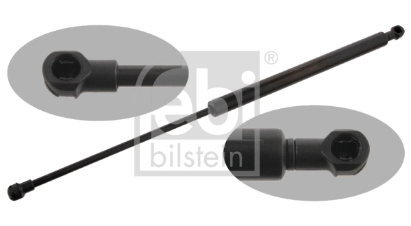 Gaasivedru, pagasi-/veoruum FEBI BILSTEIN 29979