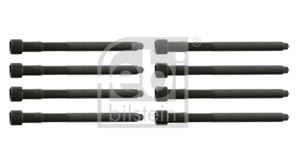 Klapikaanekruvikomplekt FEBI BILSTEIN 27994