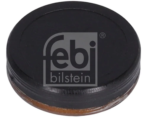 Sulgemiskaas, juhtketi pinguti (koostu ava) FEBI BILSTEIN 38327