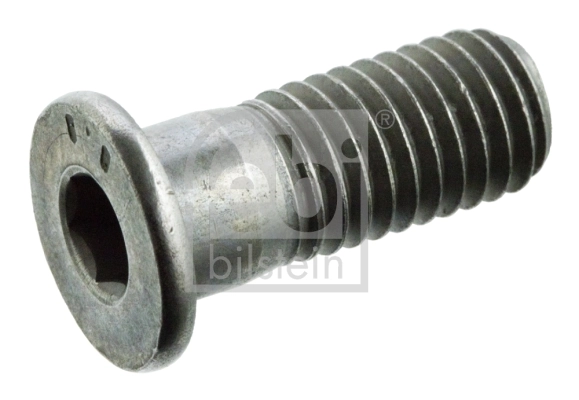 Kruvi, piduriketas FEBI BILSTEIN 01893
