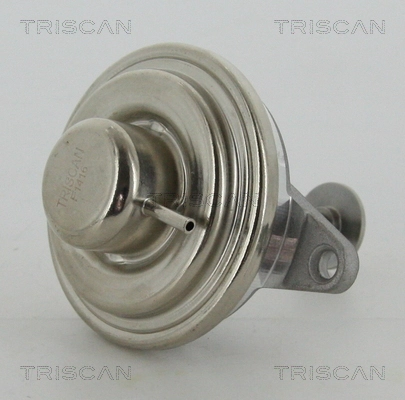 EGR-klapp TRISCAN 8813 24054