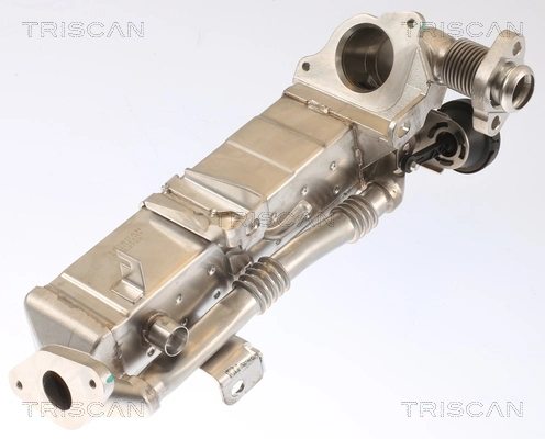 TRISCAN 8813 11021