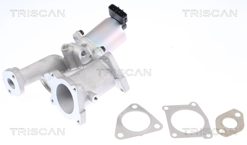 EGR-klapp TRISCAN 8813 24101