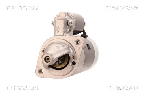 TRISCAN 8305 11012