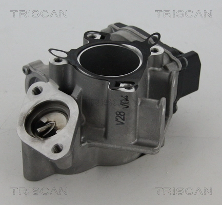 EGR-klapp TRISCAN 8813 24039