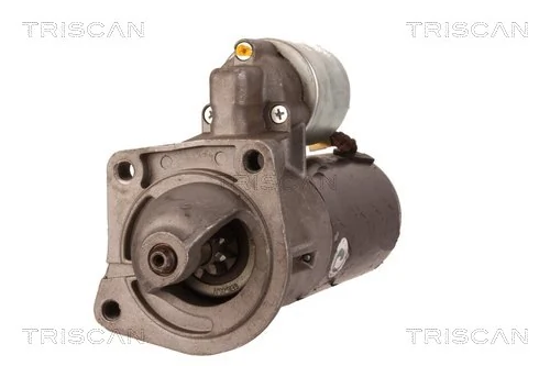 TRISCAN 8305 29019