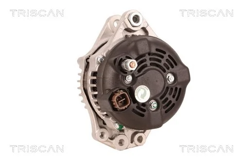 TRISCAN 8310 11022
