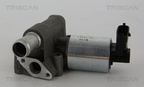 EGR-klapp TRISCAN 8813 24102