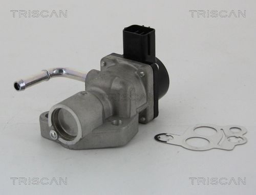 EGR-klapp TRISCAN 8813 10014