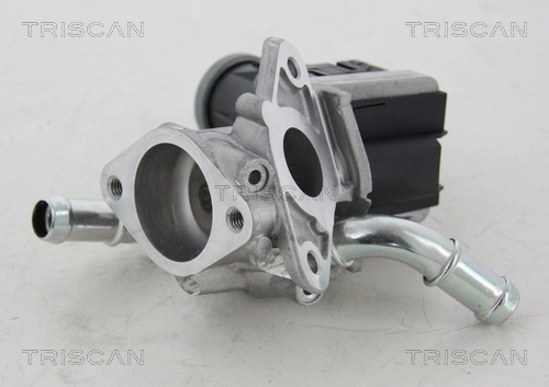 EGR-klapp TRISCAN 8813 16036