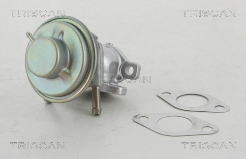 EGR-klapp TRISCAN 8813 15029