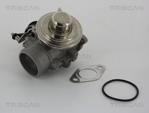 EGR-klapp TRISCAN 8813 29001