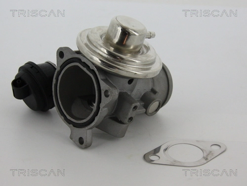 EGR-klapp TRISCAN 8813 29057