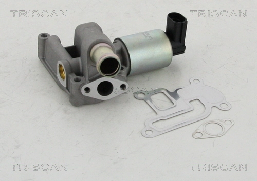 EGR-klapp TRISCAN 8813 24003