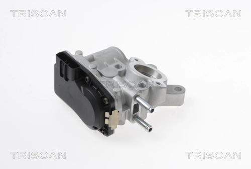EGR-klapp TRISCAN 8813 14100