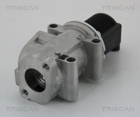 EGR-klapp TRISCAN 8813 15032