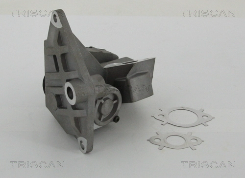 EGR-klapp TRISCAN 8813 29047