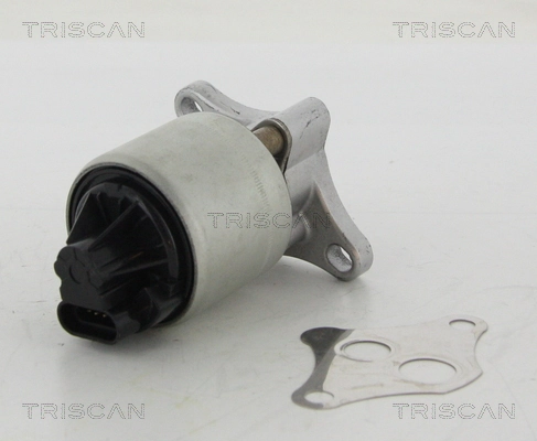 EGR-klapp TRISCAN 8813 24004