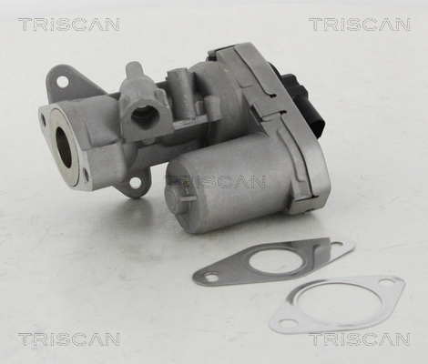 EGR-klapp TRISCAN 8813 10002
