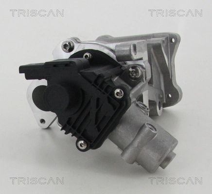 EGR-klapp TRISCAN 8813 10007