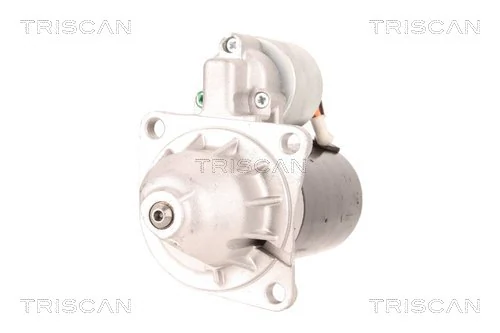 TRISCAN 8305 29074