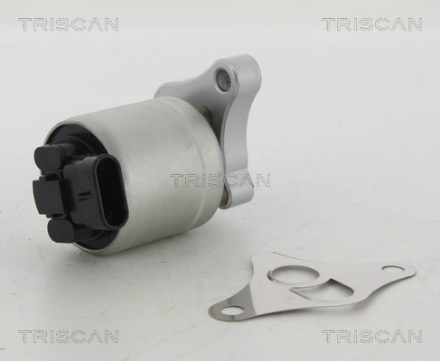 EGR-klapp TRISCAN 8813 24002