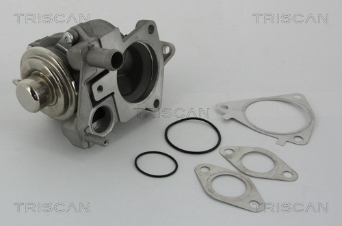 EGR-klapp TRISCAN 8813 28019