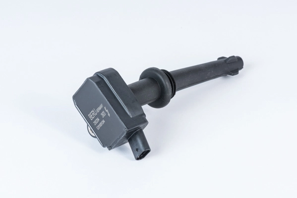 Süütepool BorgWarner (BERU) ZSE204