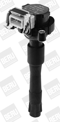 Süütepool BorgWarner (BERU) ZS437