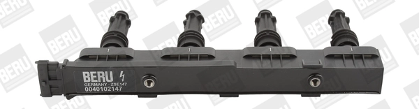 Süütepool BorgWarner (BERU) ZSE147