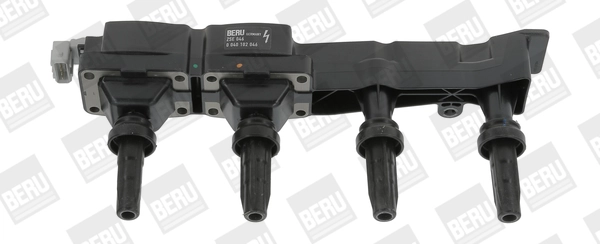 Süütepool BorgWarner (BERU) ZSE046