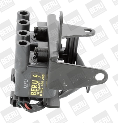 Süütepool BorgWarner (BERU) ZS266