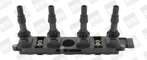 Süütepool BorgWarner (BERU) ZS342
