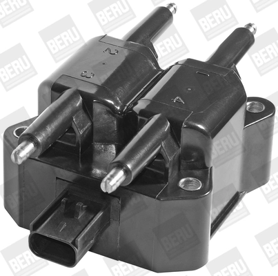 Süütepool BorgWarner (BERU) ZS380