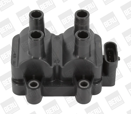 Süütepool BorgWarner (BERU) ZS354