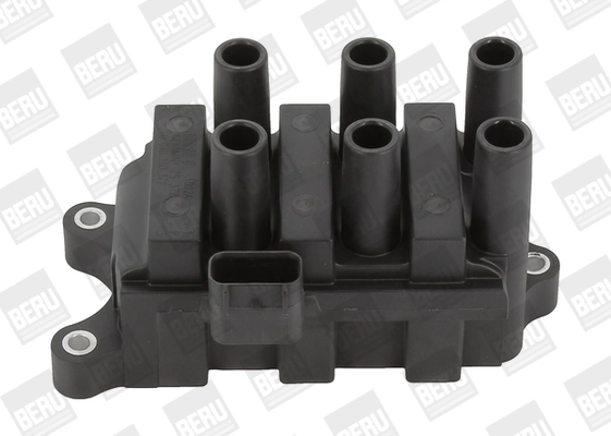 Süütepool BorgWarner (BERU) ZS372