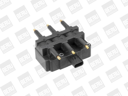 Süütepool BorgWarner (BERU) ZS456