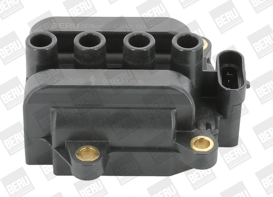 Süütepool BorgWarner (BERU) ZS325
