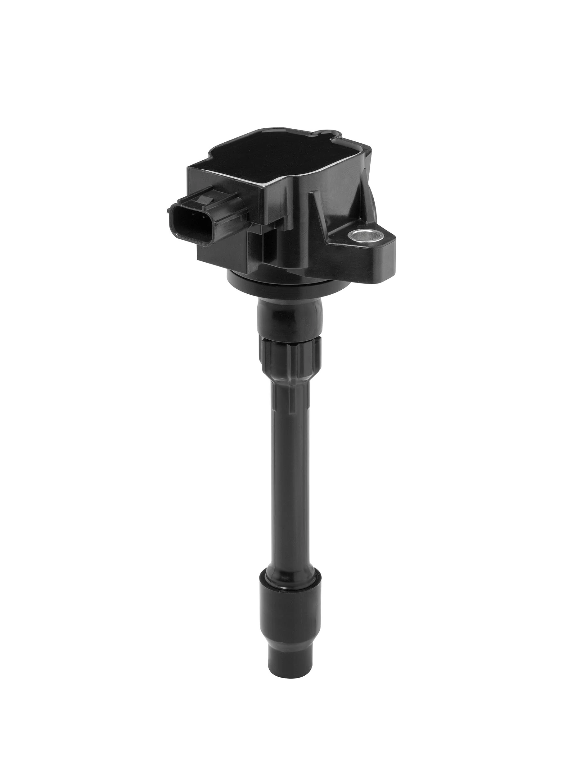 Süütepool BorgWarner (BERU) ZSE295