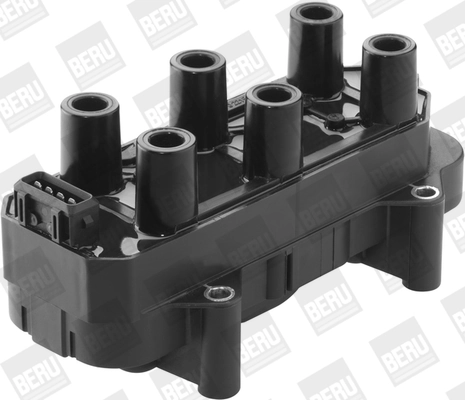 Süütepool BorgWarner (BERU) ZS451