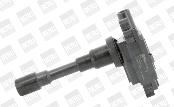 Süütepool BorgWarner (BERU) ZSE181