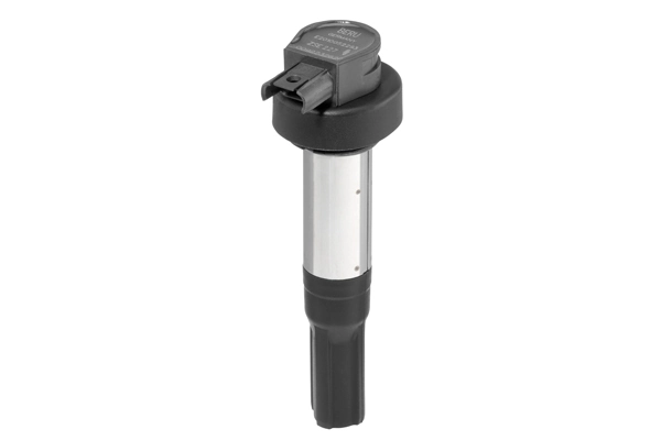 Süütepool BorgWarner (BERU) ZSE227