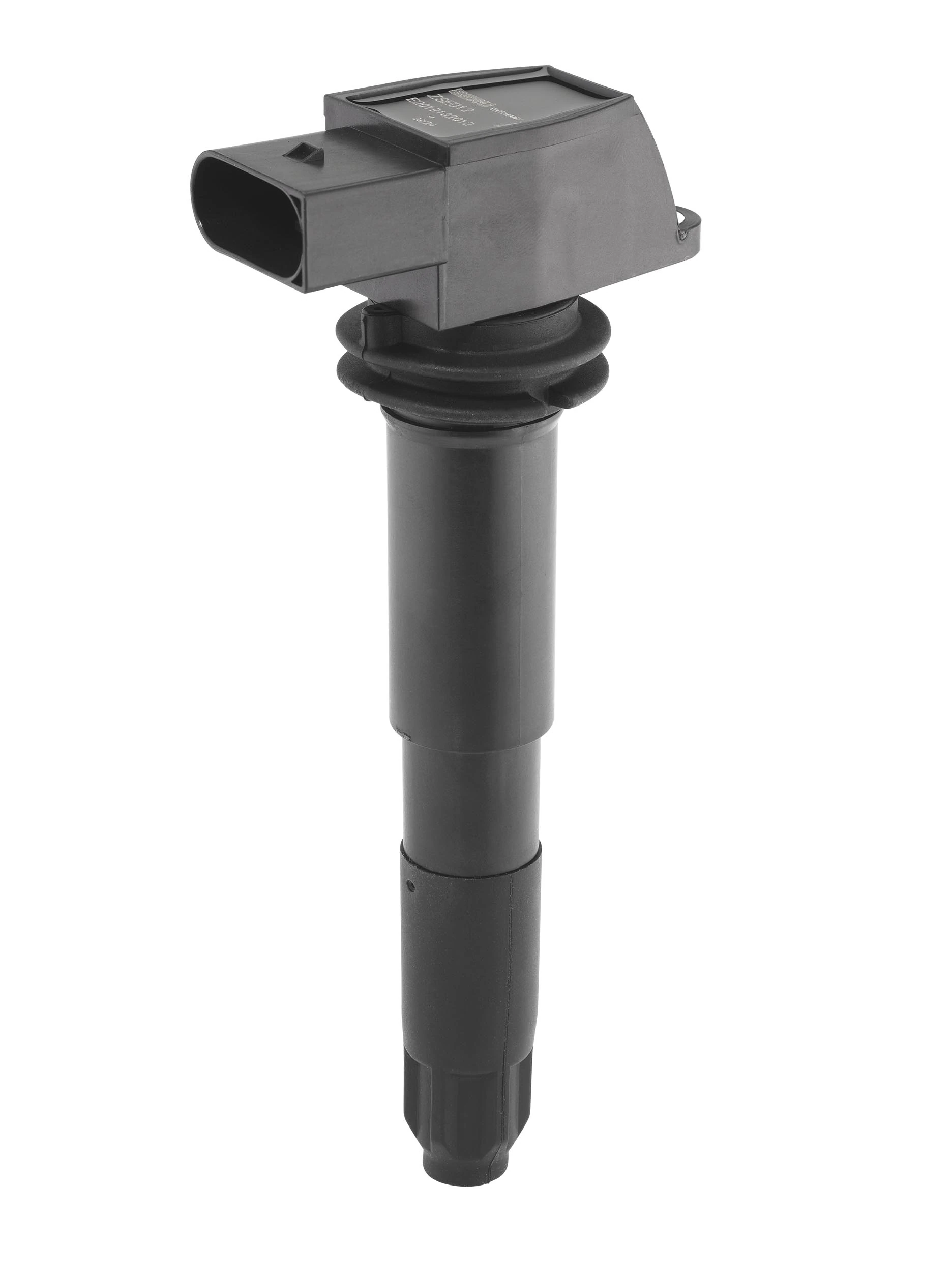 Süütepool BorgWarner (BERU) ZSE012